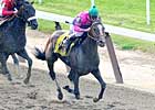 Denis of Cork, Others Exit Belmont Well