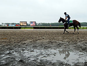 Belmont Morning: Grey Dawn Belmont Morning: Grey Dawn