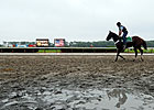 Belmont Morning: Grey Dawn