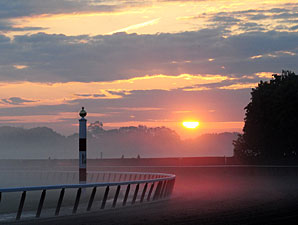 Pedigree Analyses of Belmont Contenders Pedigree Analyses of Belmont Contenders