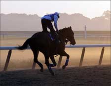 Belmont Park-Area Residents Have Say on Franchise Belmont Park-Area Residents Have Say on Franchise