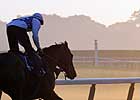 Belmont Park-Area Residents Have Say on Franchise Belmont Park-Area Residents Have Say on Franchise
