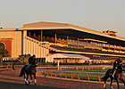 Skelos Renews Push for Belmont Casino