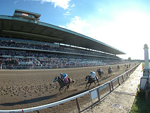NYRA Establishes Equine Safety Review Board NYRA Establishes Equine Safety Review Board