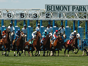 casino hollywood ohio belmont race