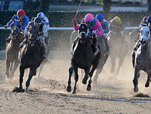 Belmont Doings: Turn For the Worse Belmont Doings: Turn For the Worse