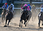 Belmont Doings: Turn For the Worse Belmont Doings: Turn For the Worse