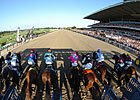 Belmont Doings: Mile and a Half or Bust    