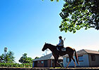 Great Weather, Crowd Expected for Belmont Great Weather, Crowd Expected for Belmont
