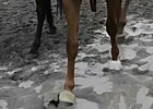 Belmont Stakes News Minute: 06/07/2013