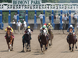 Total Handle Up, Attendance Down at Belmont