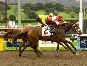 Beltene Cinches Sunshine Oaks Upset Beltene Cinches Sunshine Oaks Upset