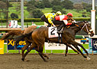 Beltene Cinches Sunshine Oaks Upset Beltene Cinches Sunshine Oaks Upset