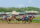 Two White Colts to Compete at Belterra Park Two White Colts to Compete at Belterra Park