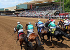 Ohio-Bred Fund to Top $5 Million in 2015 Ohio-Bred Fund to Top $5 Million in 2015