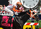 Ben's Cat Shows Class in Jim McKay Triumph Ben's Cat Shows Class in Jim McKay Triumph