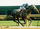 Canadian Champion Benburb Dead Canadian Champion Benburb Dead