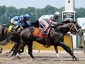 Male Sprint Eclipse: Benny the Bull Male Sprint Eclipse: Benny the Bull