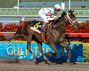 Dubai Sprint Sees American Favorites Dubai Sprint Sees American Favorites