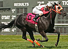Ben's Cat Breaks Course Mark in Parx Dash