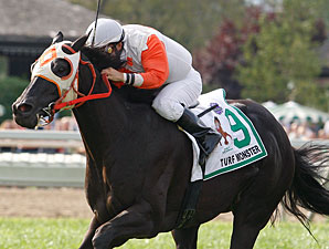 Ben's Cat is a Turf Monster Ben's Cat is a Turf Monster