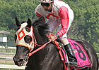 Ben's Cat Favored to Repeat in Governor's Cup Ben's Cat Favored to Repeat in Governor's Cup
