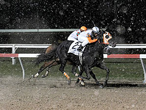 Ben's Cat Strikes for 19th Stakes Victory Ben's Cat Strikes for 19th Stakes Victory