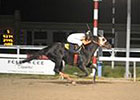 Ben's Cat Takes Fabulous Strike a Third Time Ben's Cat Takes Fabulous Strike a Third Time