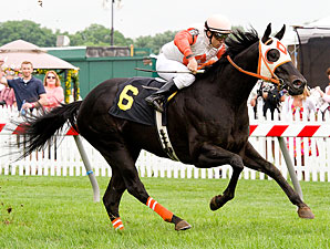 Ben's Cat Heads Pimlico's Friday Undercard Ben's Cat Heads Pimlico's Friday Undercard
