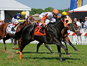 Ben's Cat Logs Win No. 21 in Turf Sprint Ben's Cat Logs Win No. 21 in Turf Sprint