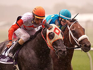 Ben's Cat Prevails in Laurel Dash Ben's Cat Prevails in Laurel Dash