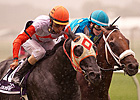 Ben's Cat Prevails in Laurel Dash Ben's Cat Prevails in Laurel Dash