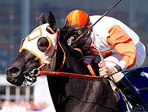 No Breeders' Cup Turf Sprint for Ben's Cat No Breeders' Cup Turf Sprint for Ben's Cat