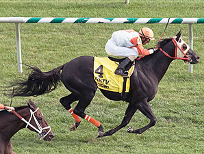 Ben's Cat Maryland's 2012 Horse of the Year Ben's Cat Maryland's 2012 Horse of the Year
