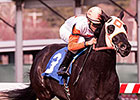 Ben's Cat Wins Fifth Straight Mister Diz Ben's Cat Wins Fifth Straight Mister Diz