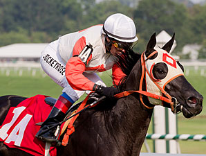 Ben's Cat to Skip De Francis for Laurel Dash Ben's Cat to Skip De Francis for Laurel Dash