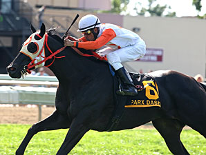 Ben's Cat Back to Winning Ways in Parx Dash Ben's Cat Back to Winning Ways in Parx Dash