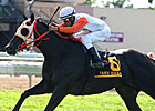 Ben's Cat Back to Winning Ways in Parx Dash Ben's Cat Back to Winning Ways in Parx Dash