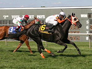 Ben's Cat Intriguing Entry in De Francis Dash Ben's Cat Intriguing Entry in De Francis Dash