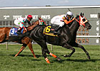 Ben's Cat Intriguing Entry in De Francis Dash Ben's Cat Intriguing Entry in De Francis Dash