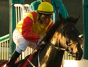 Dozen Fillies to Battle in Oak Tree's Ramser Dozen Fillies to Battle in Oak Tree's Ramser