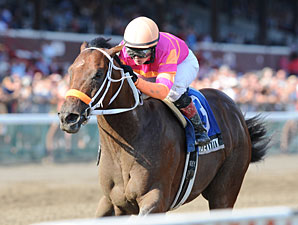 Bern Identity Faces Pletcher Trio in Hopeful Bern Identity Faces Pletcher Trio in Hopeful