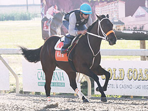 Bern Identity Posts Bullet for Delta Jackpot Bern Identity Posts Bullet for Delta Jackpot