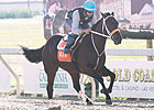 Bern Identity Posts Bullet for Delta Jackpot Bern Identity Posts Bullet for Delta Jackpot