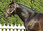 Castleton Lyons Stallion Bernstein Dies