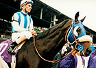 Bertrando, Champion and Top CA Sire, Dies Bertrando, Champion and Top CA Sire, Dies