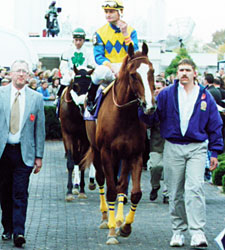 Graded Stakes Winner Bet On Sunshine Dies Graded Stakes Winner Bet On Sunshine Dies