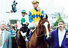 Graded Stakes Winner Bet On Sunshine Dies Graded Stakes Winner Bet On Sunshine Dies
