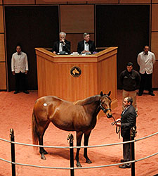 $5.2M Purchase Tops F-T November Auction $5.2M Purchase Tops F-T November Auction