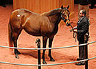 $5.2M Purchase Tops F-T November Auction $5.2M Purchase Tops F-T November Auction